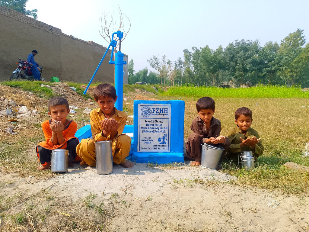 Hazrat Sultan Muhammad Asghar Ali(Sultan ul Faqr 6th), - Order no. US 83616 - Well no. 6527