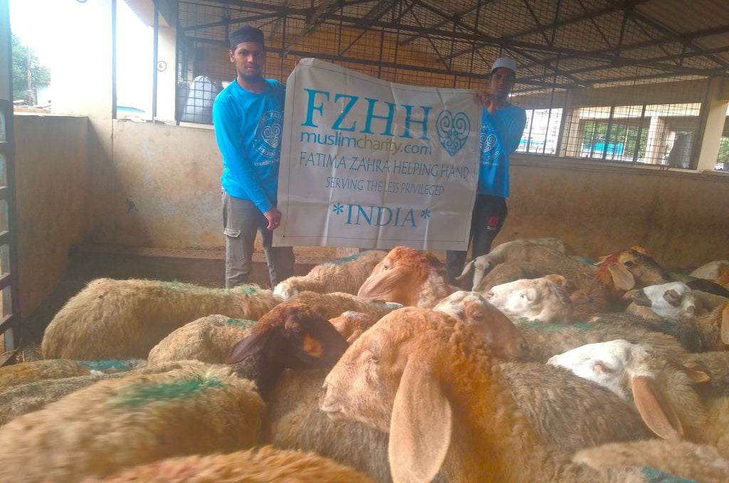 Hyderabad, India - Participating in Our Holy Qurbani Program & Mobile Food Rescue Programs by Processing, Packaging & Distributing Holy Qurbani Meat from 30+ Holy Qurbans to 450+ Less Privileged Families