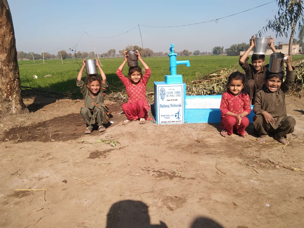 Punjab, Pakistan – Halimaj Mubarak – FZHH Water Well# 1177