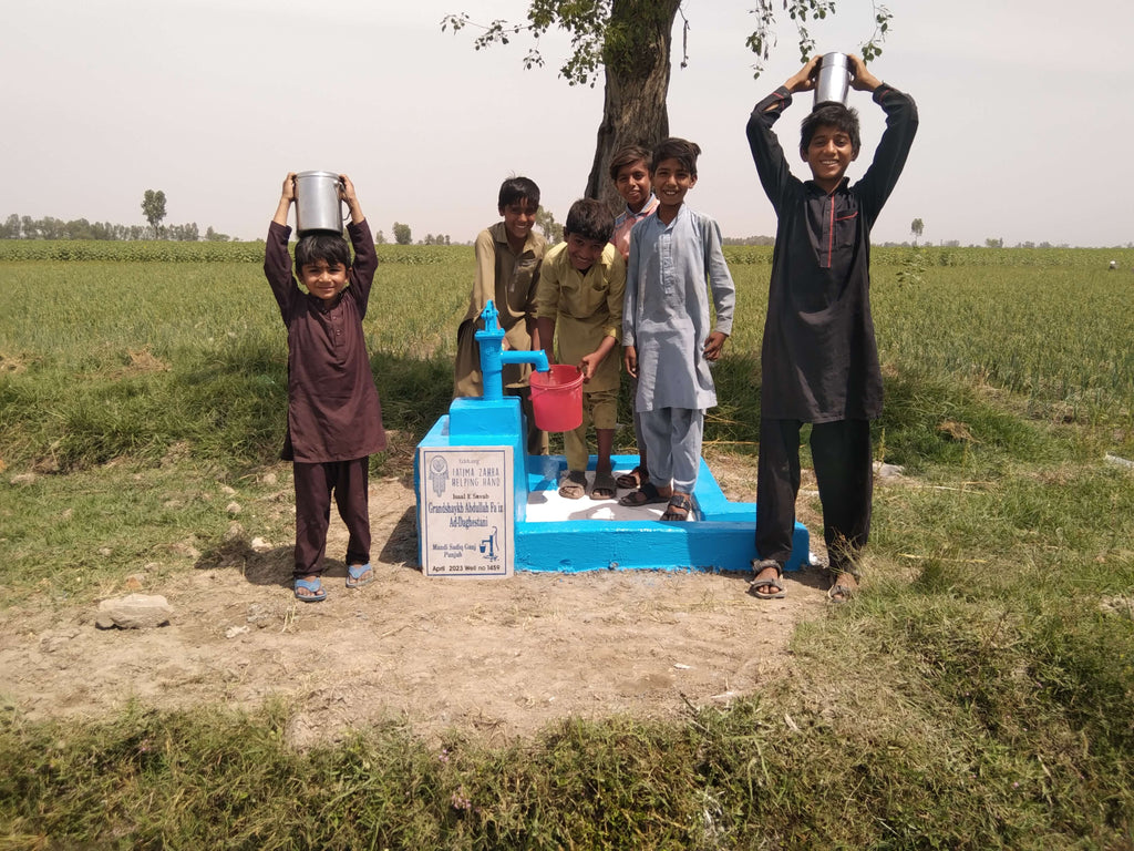 Punjab, Pakistan – Grandshaykh Abdullah Fa'iz ad-Daghestani – FZHH Water Well# 1459