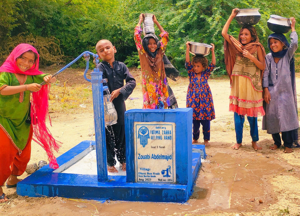 Sindh, Pakistan – Zouabi Abdelmajid – FZHH Water Well# 2054