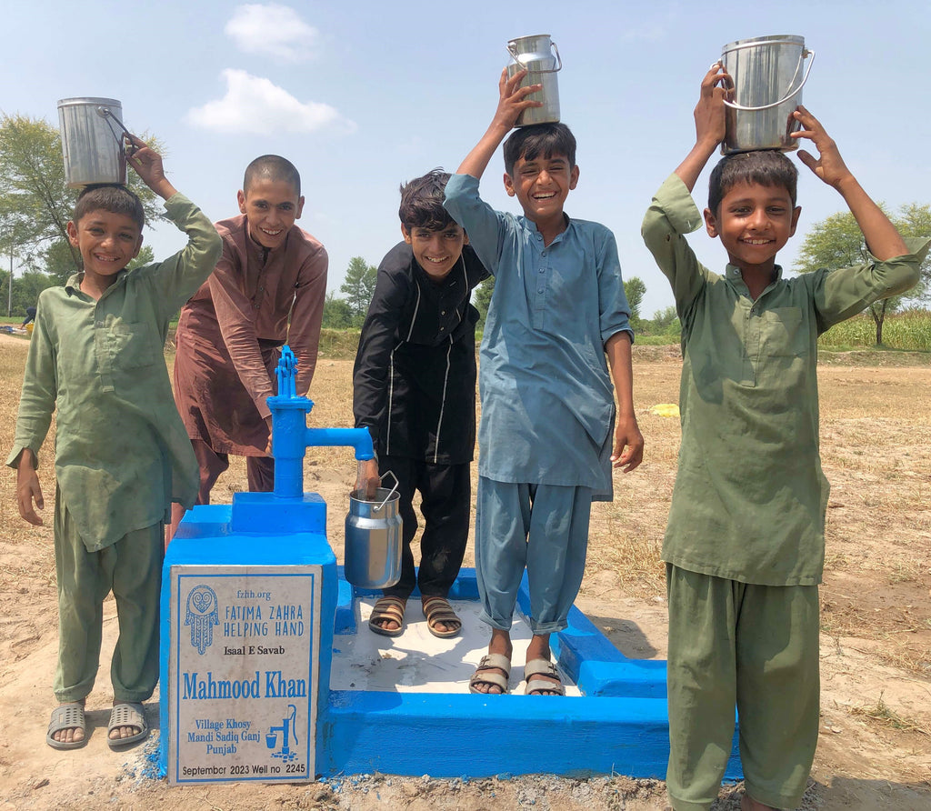 Punjab, Pakistan – Mahmood Khan – FZHH Water Well# 2245