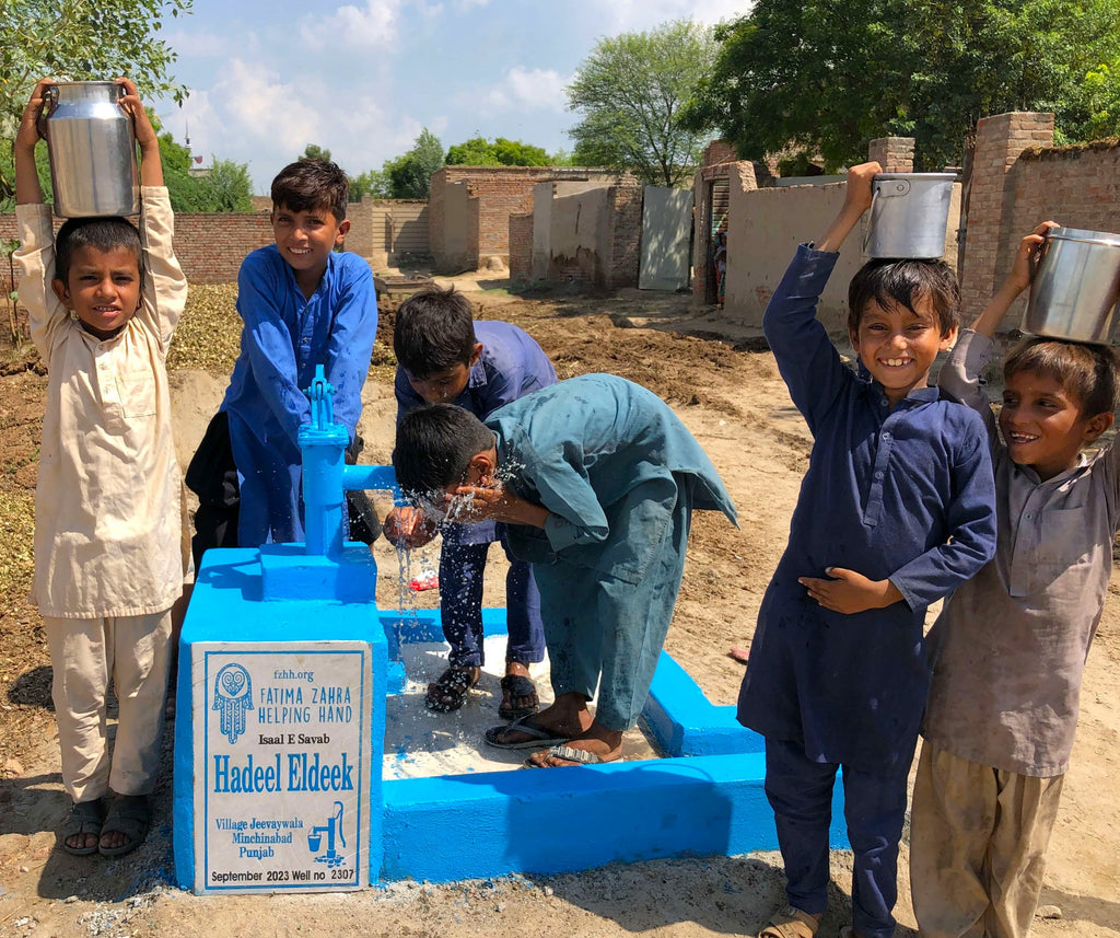 Punjab, Pakistan – Hadeel Eldeek – FZHH Water Well# 2307