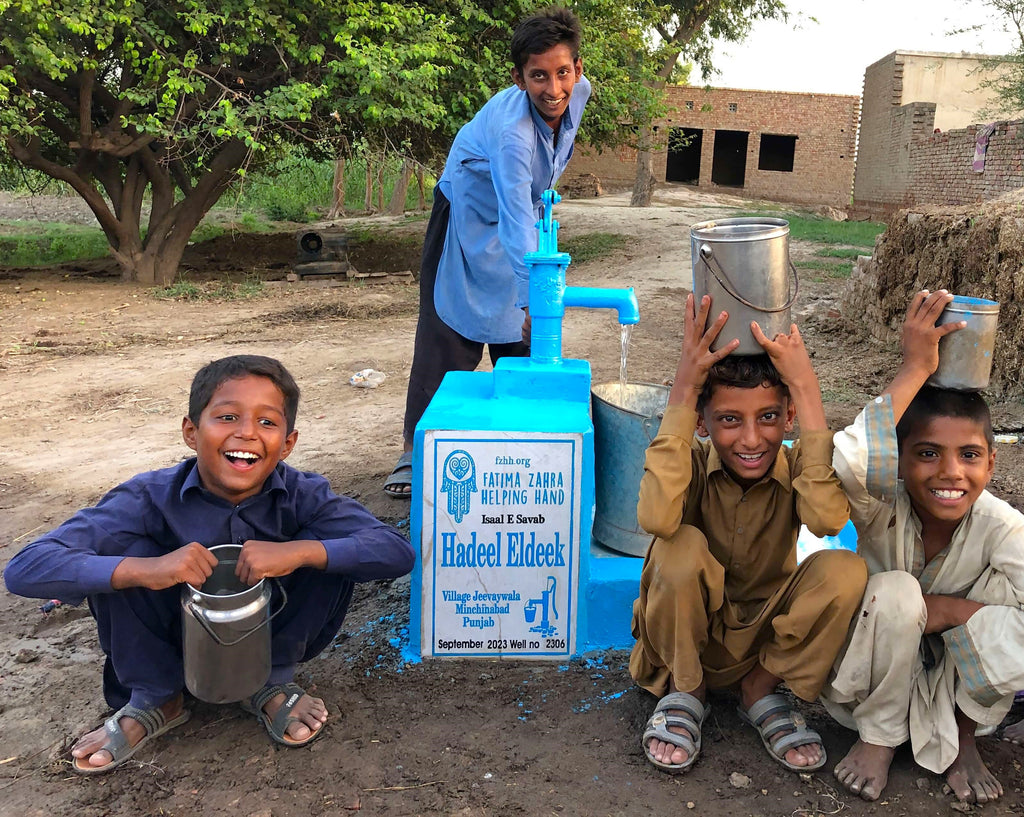 Punjab, Pakistan – Hadeel Eldeek – FZHH Water Well# 2306