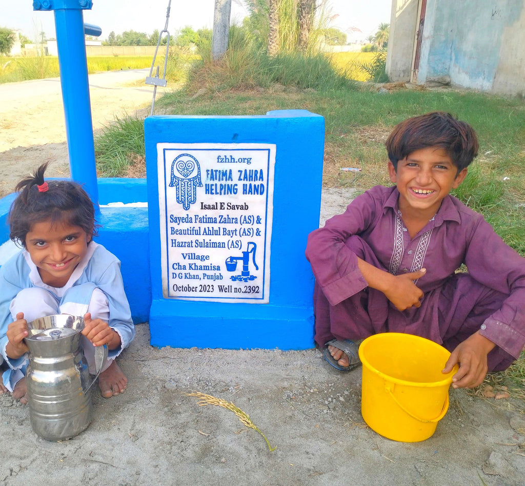 Punjab, Pakistan – Sayeda Fatima Zahra (AS) & Beautiful Ahlul Bayt (AS) & Hazrat Sulaiman (AS) – FZHH Water Well# 2392