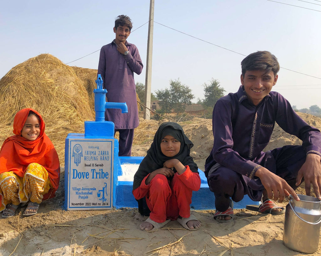 Punjab, Pakistan – Dove Tribe – FZHH Water Well# 2614