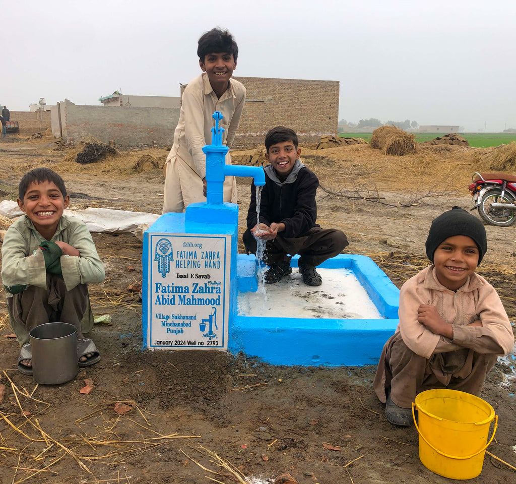 Punjab, Pakistan – Fatima Zahra عليه السلام Abid Mahmood – FZHH Water Well# 2793