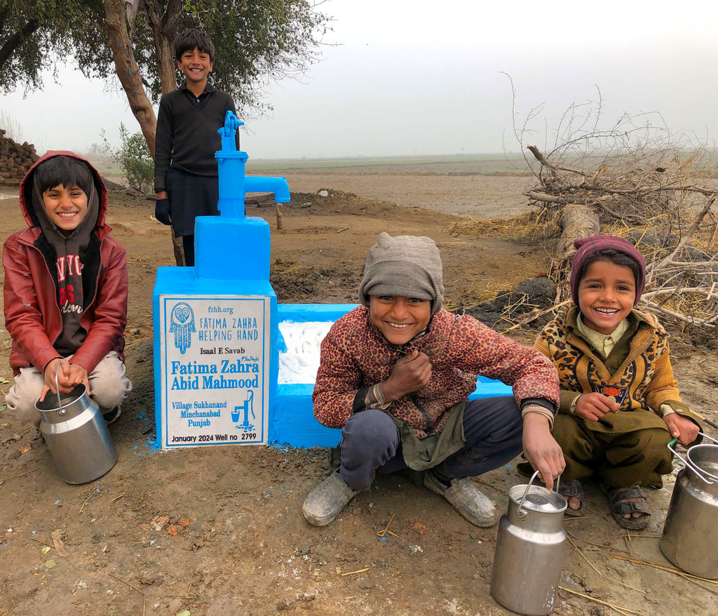 Punjab, Pakistan – Fatima Zahra عليه السلام Abid Mahmood – FZHH Water Well# 2799