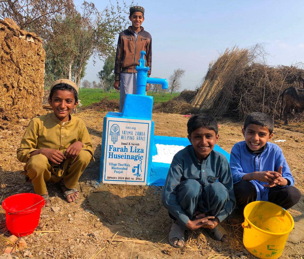 Punjab, Pakistan – Farah Liza Huseinagic – FZHH Water Well# 2963