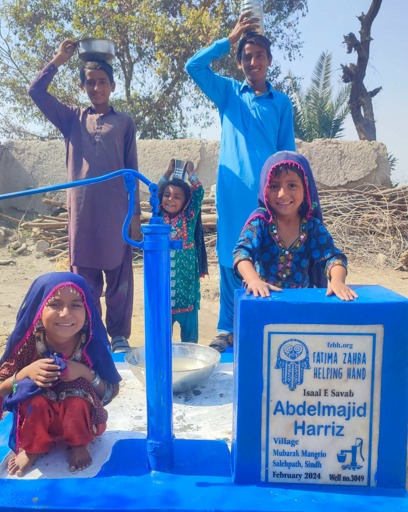 Sindh, Pakistan – Abdelmajid Harriz – FZHH Water Well# 3049