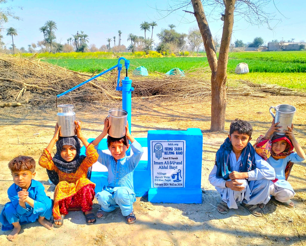 Punjab, Pakistan – Imam Ali عليه السلام and Ahlul Bayt – FZHH Water Well# 3014
