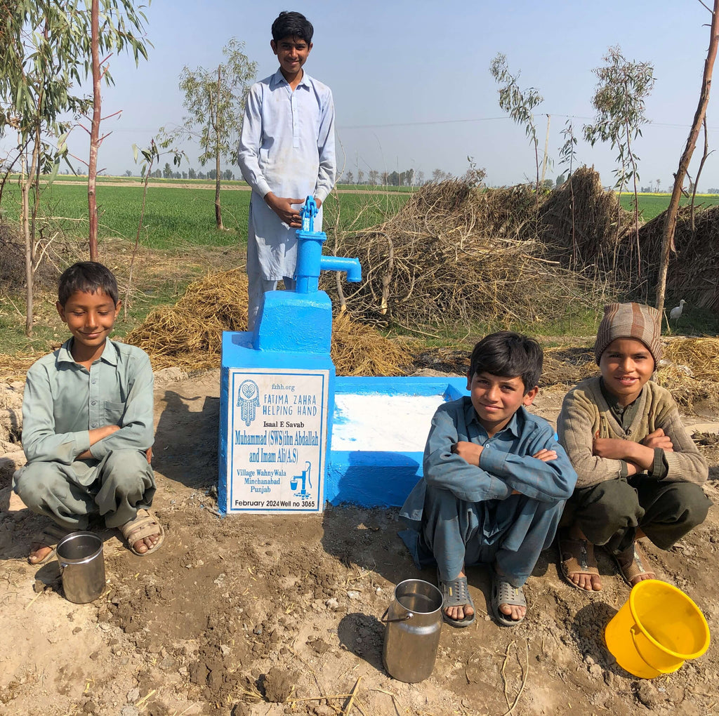 Punjab, Pakistan – Muhammad (SWS) ibn Abdallah and lmam Ali (A.S) – FZHH Water Well# 3065