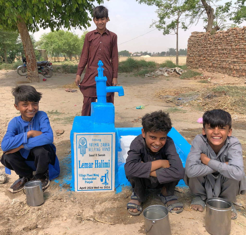 Punjab, Pakistan – Lemar Halimi – FZHH Water Well# 3524