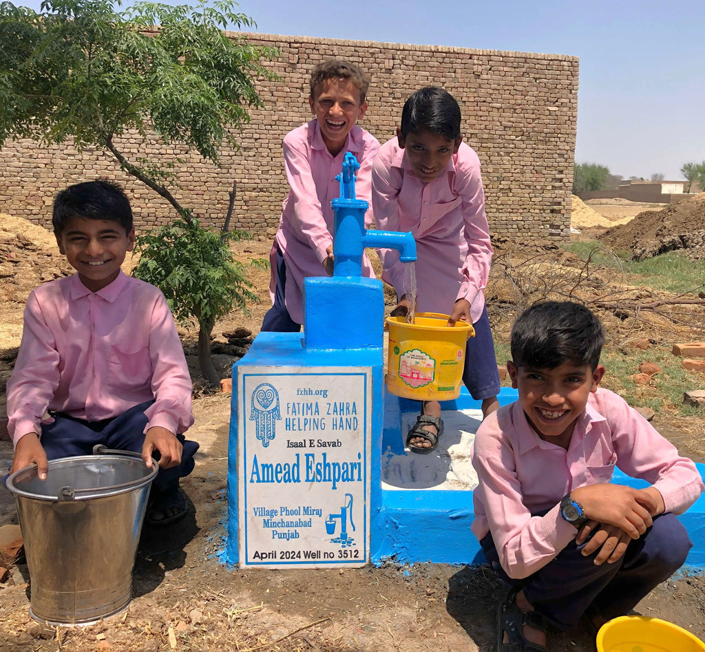 Punjab, Pakistan – Amead Eshpari – FZHH Water Well# 3512
