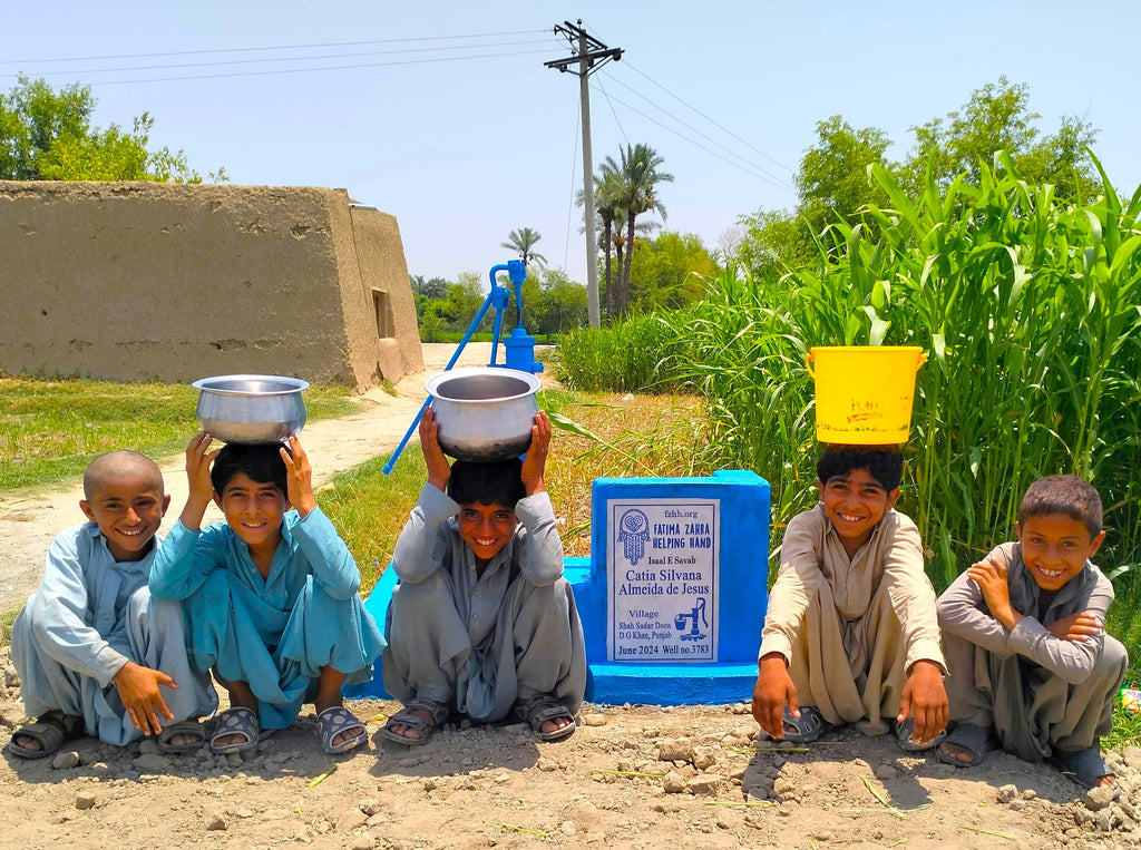 Punjab, Pakistan – Catia Silvana Almeida de Jesus – FZHH Water Well# 3783