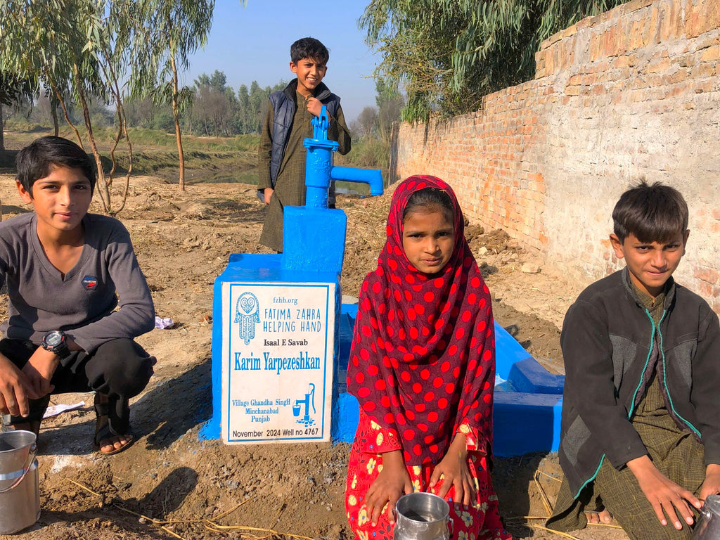 Punjab, Pakistan – Karim Yarpezeshkan – FZHH Water Well# 4767