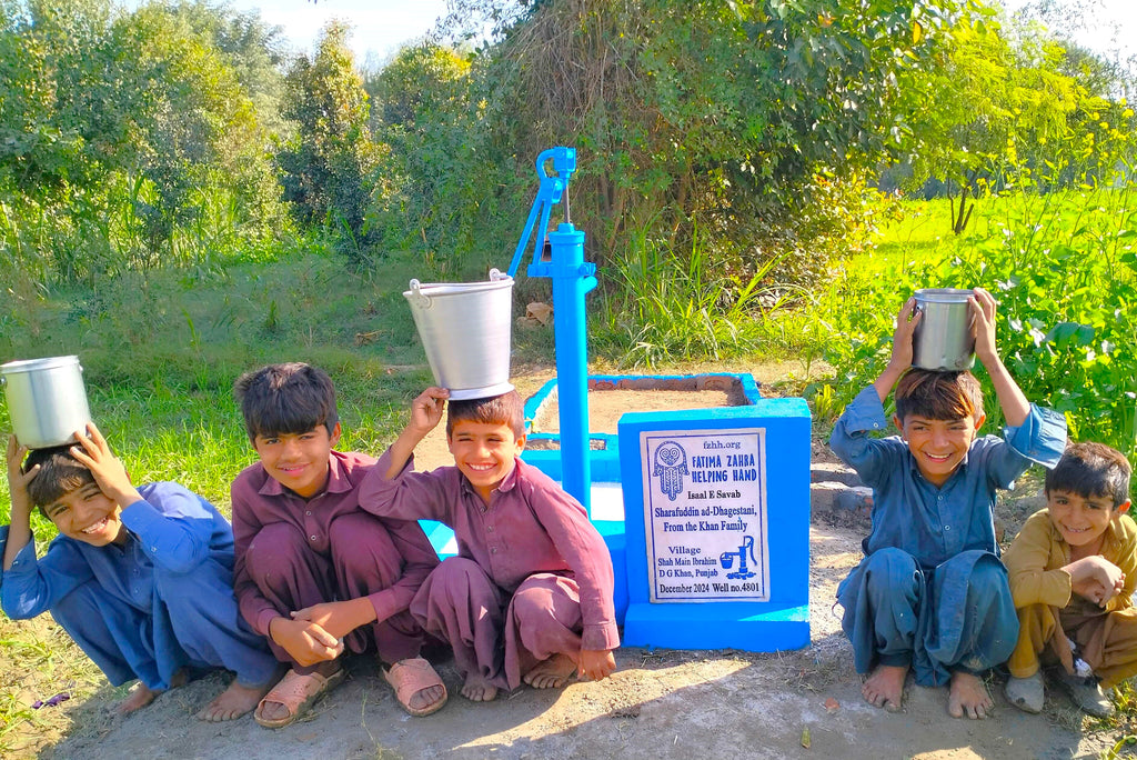 Punjab, Pakistan – Sharafuddin ad-Dhagestani, from the Khan family – FZHH Water Well# 4801