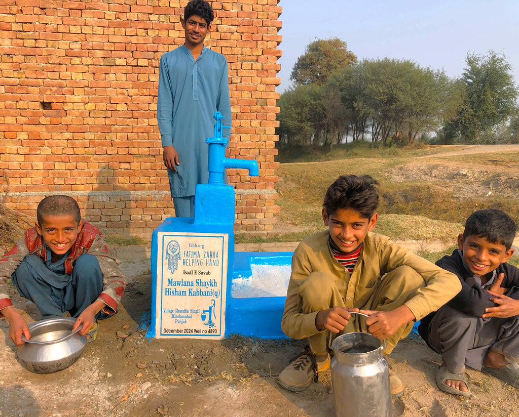 Punjab, Pakistan – Mawlana Shaykh Hisham Kabbani (q) – FZHH Water Well# 4890 Order no 36851