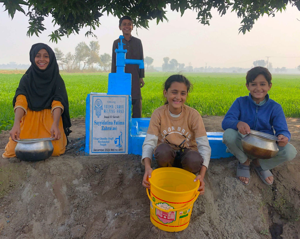 Punjab, Pakistan – Sayyidatina Fatima Zahra (as) – FZHH Water Well# 4891 Order no 36851