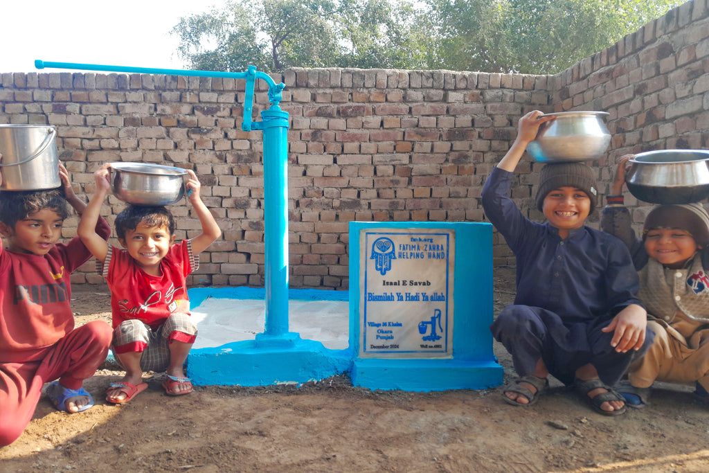 Punjab, Pakistan – Bismillah Ya Hadi Ya Allah – US Order no. 52912 - Well no 4951