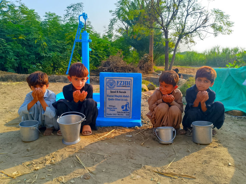 Hazrat Sheik Abdul-Qadir-Jilani (r.t.a). - Order no. CAN 52742 - Well no. 6520