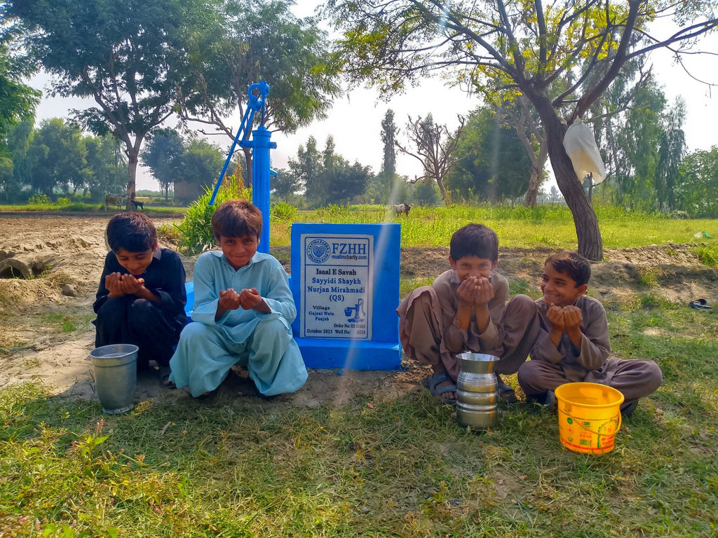 Sayyidi Shaykh Nurjan Mirahmadi (QS) - Order no. US 83661 - Well no. 6528