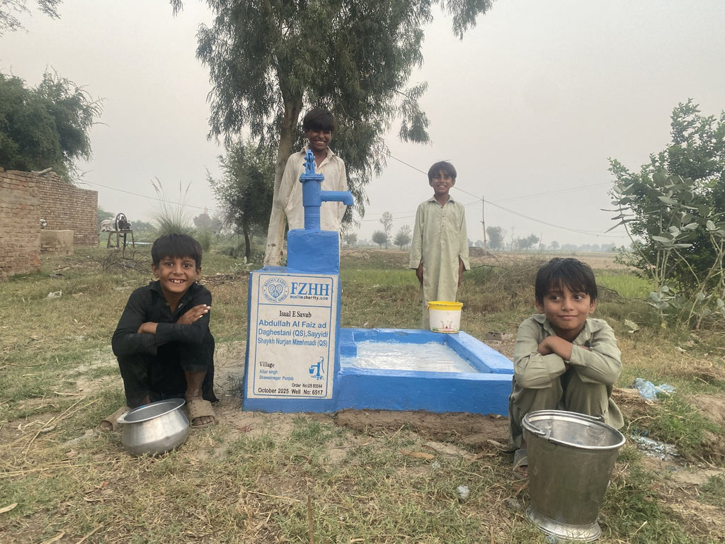 Abdullah Al Faiz ad Daghestani (QS), Sayyidi Shaykh Nurjan M... - Order no. US 83244 - Well no. 6517