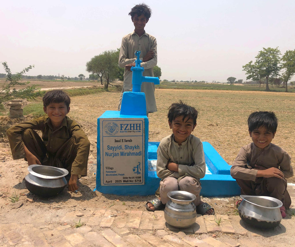 Sayyidi, Shaykh Nurjan Mirahmadi - Order no. US 63265 - Well no. 5718