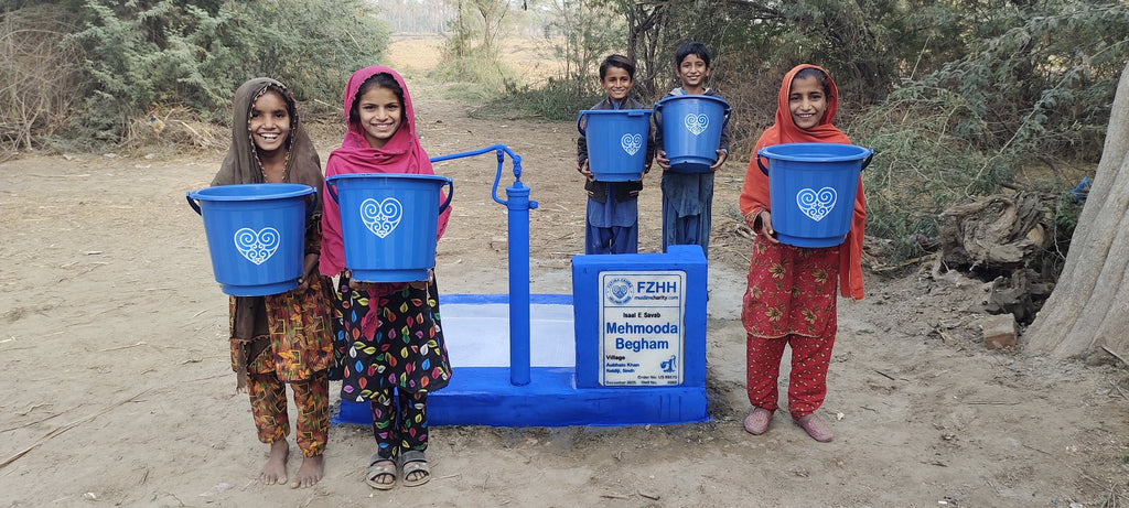 Name: Mehmooda Begham - Order no. US 88570 - Well no. 6660