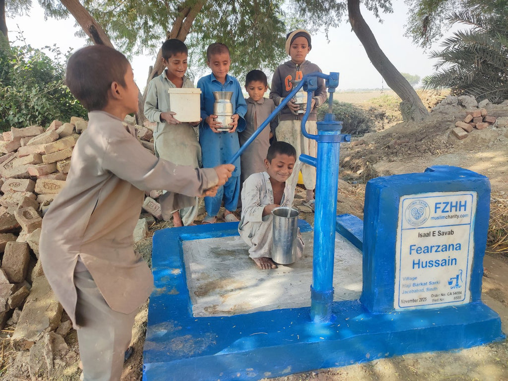 Fearzana Hussain - Order no. CAN 54084 - Well no. 6588