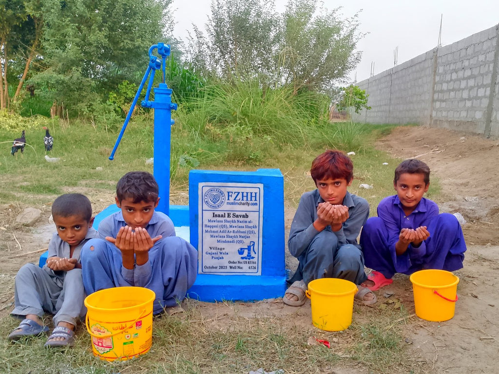 Mawlana Shaykh Nazim Al-Haqqani (QS), Mawlana Shaykh Mehmet... - Order no. US 83566 - Well no. 6526