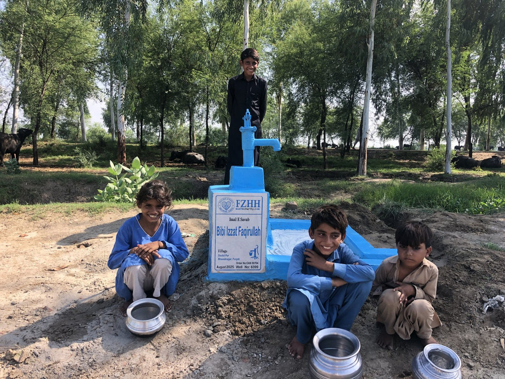 Bibi Izzat Faqirullah - Order no. CAN 50704 - Well no. 6399