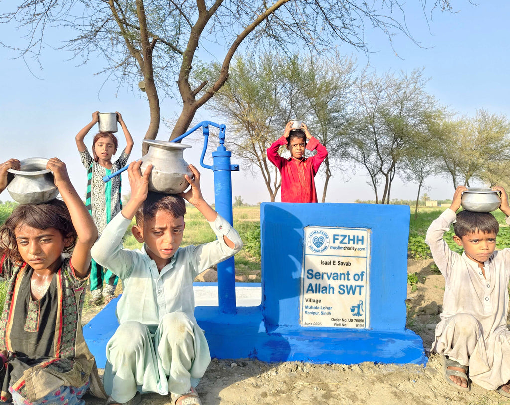 Servant of Allah SWT - Order no. US 70050* - Well no. 6134