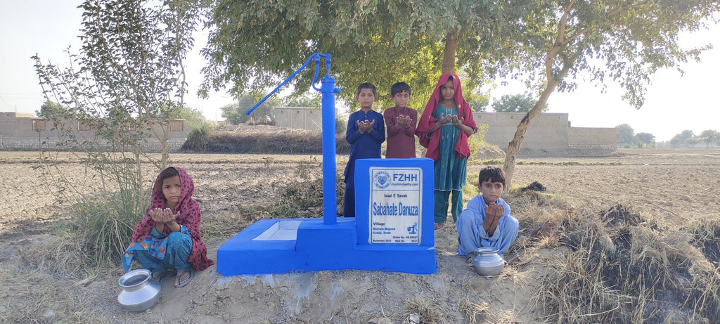 Sabahate Danuza - Order no. US 86027 - Well no. 6577