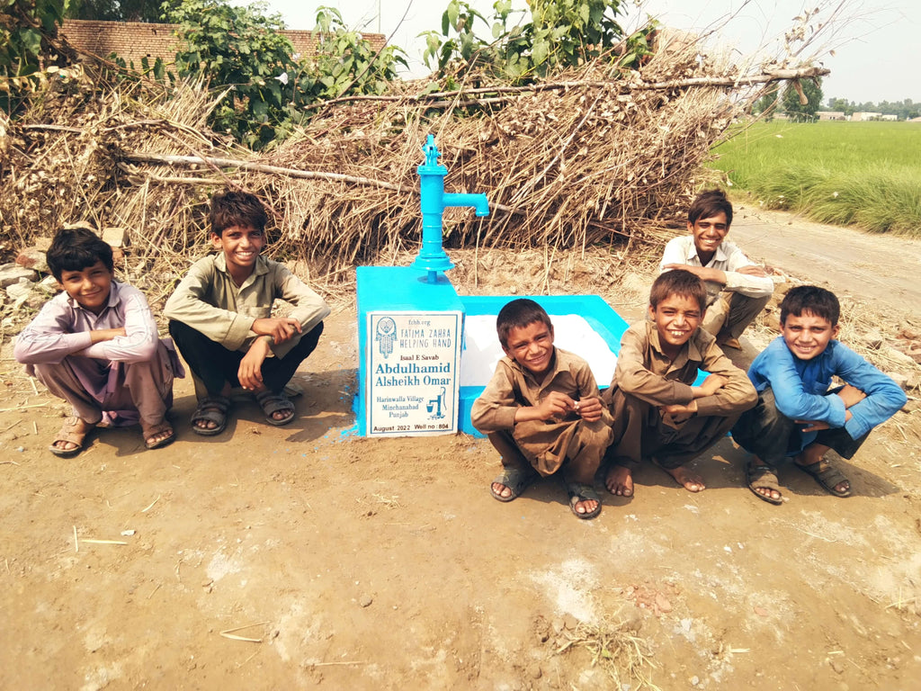 Punjab, Pakistan – Abdulhamid Alsheikh Omar – FZHH Water Well# 804