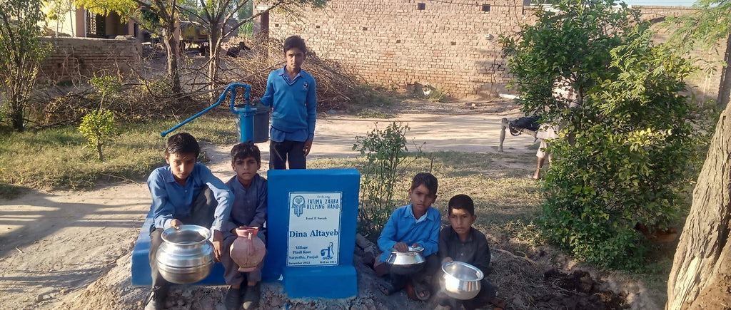 Punjab, Pakistan – Dina Altayeb – FZHH Water Well# 1011