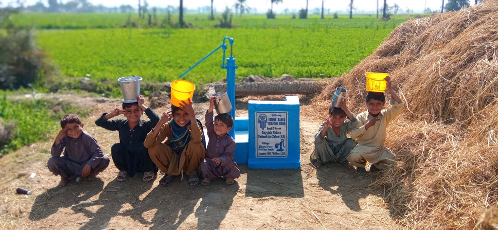 Punjab, Pakistan – Sayyida Tahira Fatimah Az-Zahra (AS) – FZHH Water Well# 1233