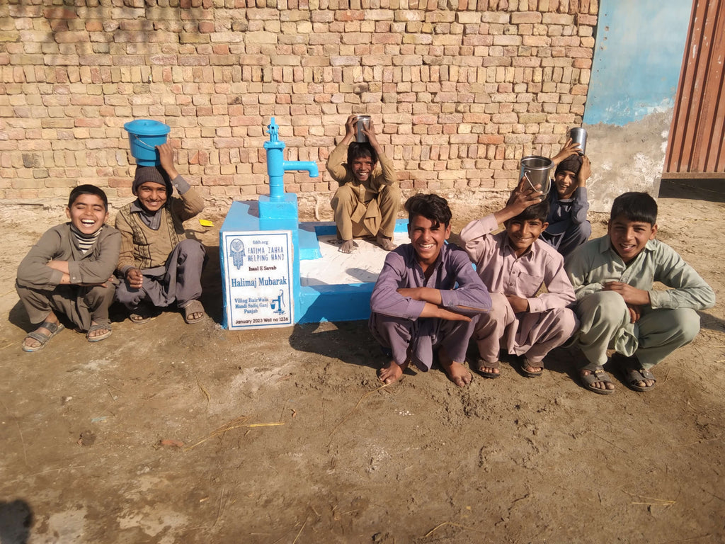 Punjab, Pakistan – Halimaj Mubarak – FZHH Water Well# 1236