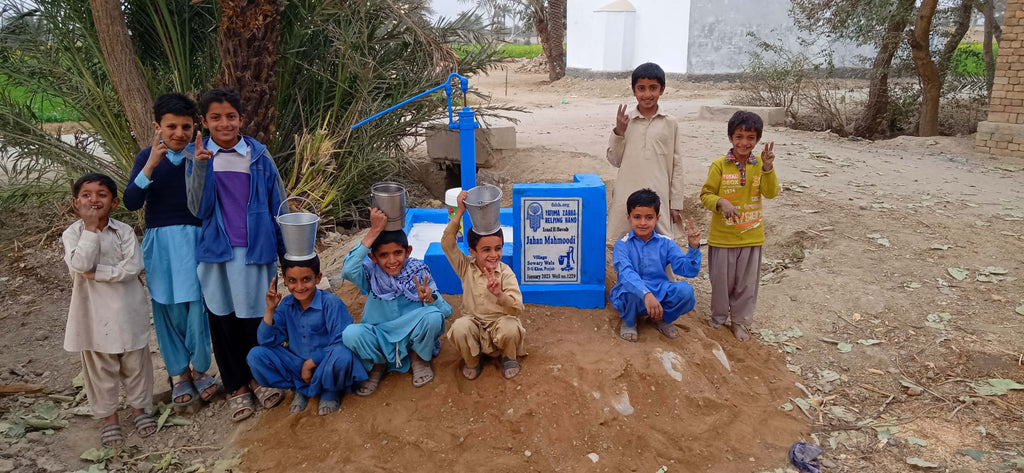 Punjab, Pakistan – Jahan Mahmoodi – FZHH Water Well# 1229