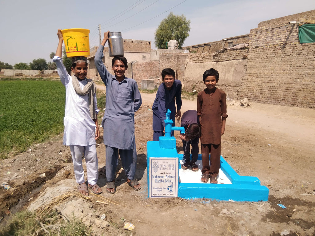 Punjab, Pakistan – Mahmoud, Achour, Habiba, Leila – FZHH Water Well# 1466