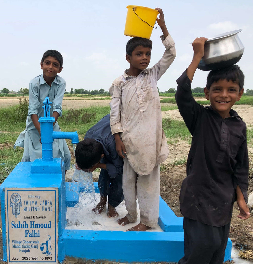 Punjab, Pakistan – Sabih Hmoud Falhi – FZHH Water Well# 1893