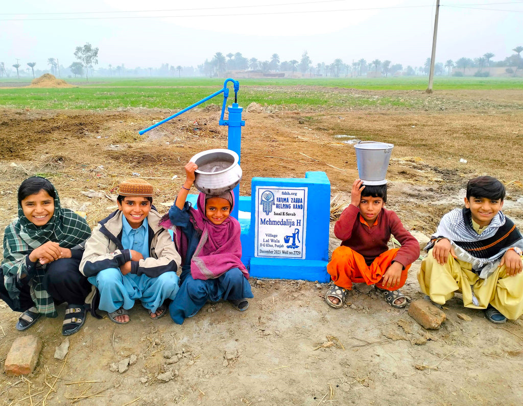 Punjab, Pakistan – Mehmedalija H – FZHH Water Well# 2729