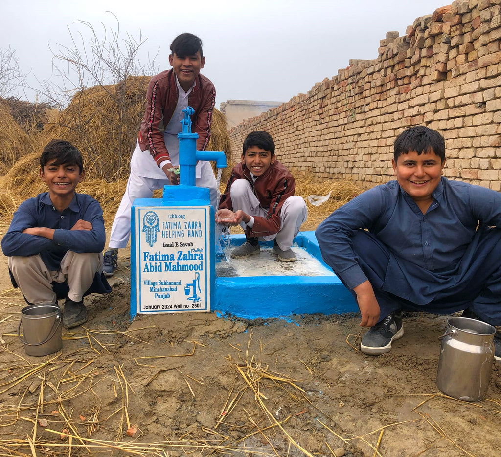 Punjab, Pakistan – Fatima Zahra ‎عليه السلام Abid Mahmood – FZHH Water Well# 2801