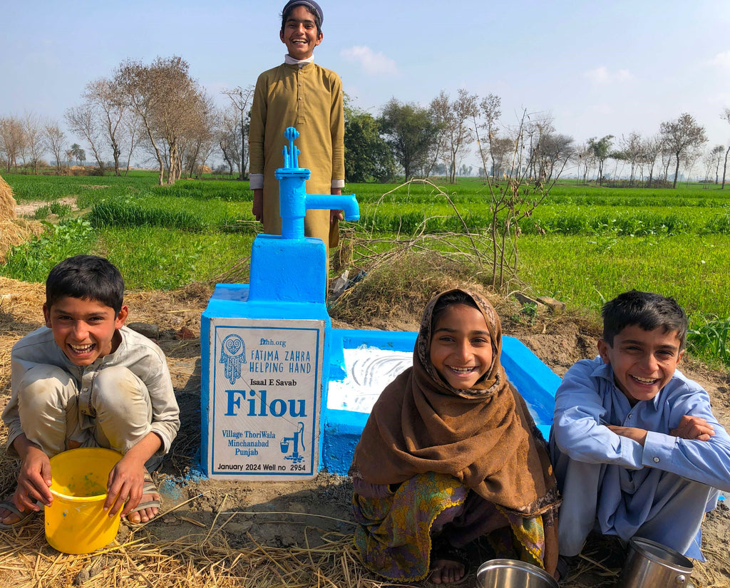 Punjab, Pakistan – Filou – FZHH Water Well# 2954