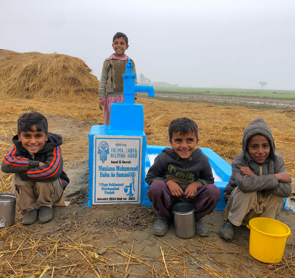 Punjab, Pakistan – Maulana Muhammad Baba As Samasi (Q) – FZHH Water Well# 2803