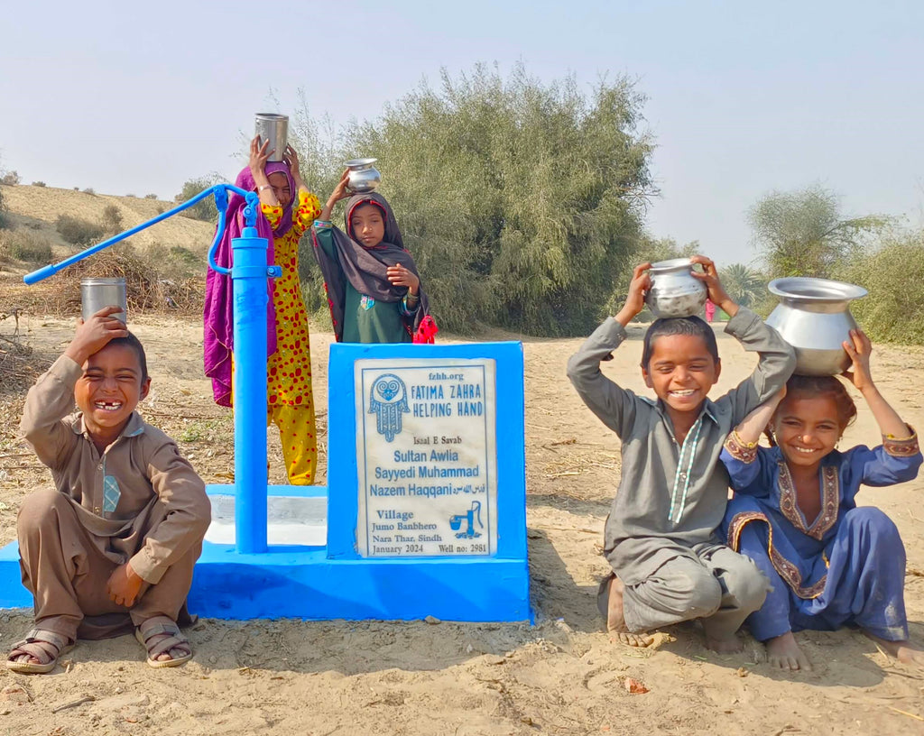 Sindh, Pakistan – Sultan Awlia Sayyedi Muhammad Nazem Haqqani – FZHH Water Well# 2981