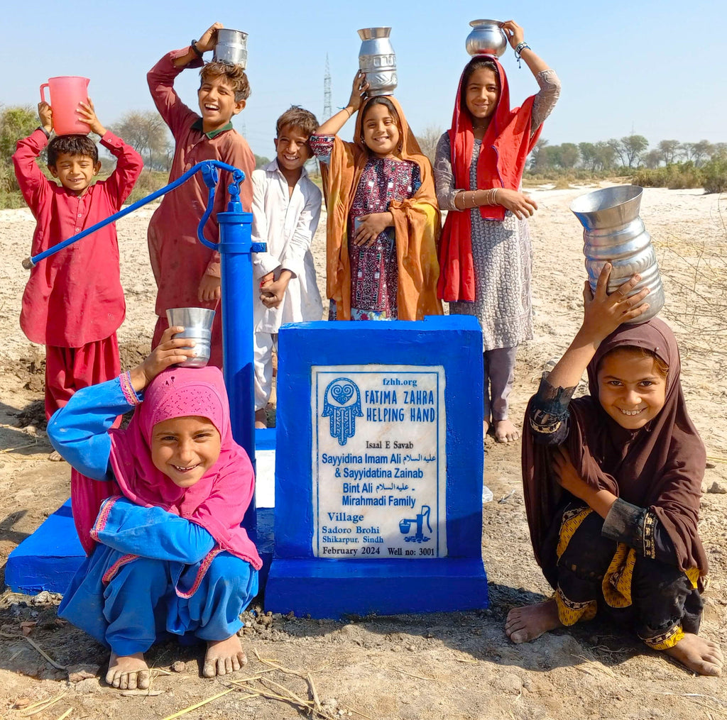 Sindh, Pakistan – Sayyidina Imam Ali AS & Sayidatina Zainab Bint Ali AS - Mirahmadi Family – FZHH Water Well# 3001