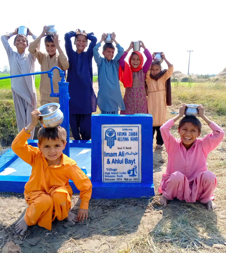 Sindh, Pakistan – Imam Ali AS & Ahlul Bayt – FZHH Water Well# 3005