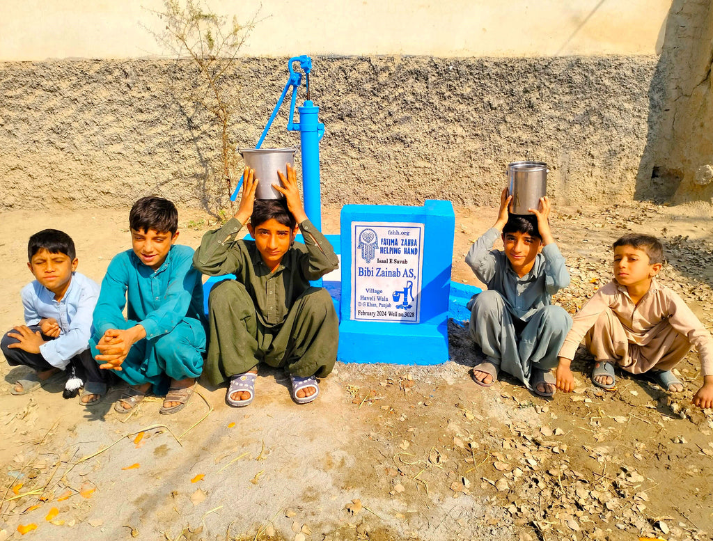 Punjab, Pakistan – Bibi Zainab AS – FZHH Water Well# 3028