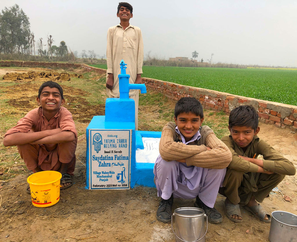 Punjab, Pakistan – Saydatina Fatima Zahra ‎عليه السلام – FZHH Water Well# 3058